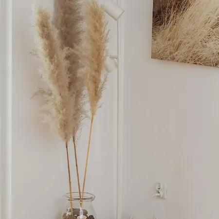 Stadion With Parking By Renters グダニスク